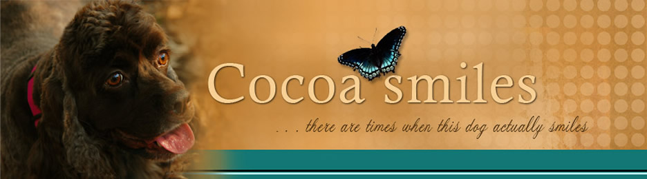 CocoaSmiles