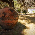 Enjoying Sapelo Island