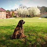 Keeping A Steady Watch