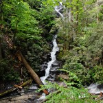Revisiting Dukes Creek Falls