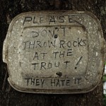 Don’t Throw Rocks!