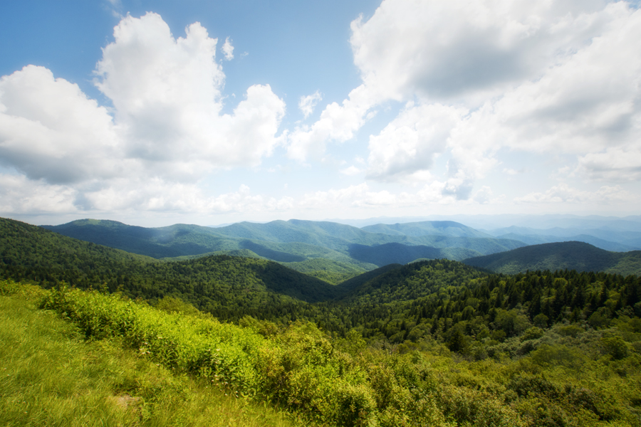 Hiking Black Balsam Bald â€“ America the Beautiful! – Cocoa Smiles