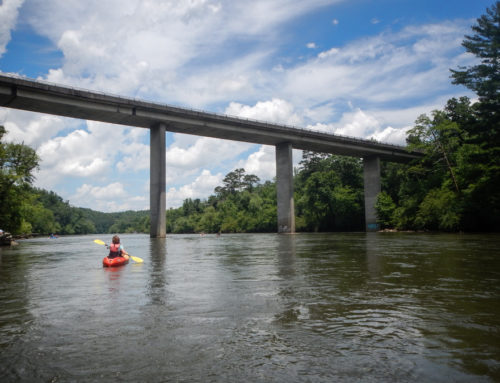 Paddling the French Broad River