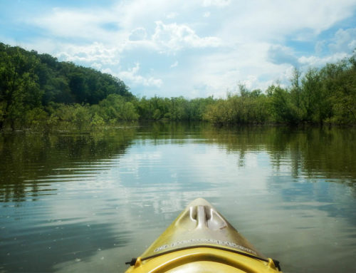 Lost in Owl Swamp!