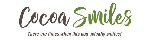 Cocoa Smiles Logo